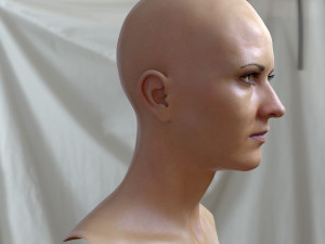 Woman head v3 3D 모델