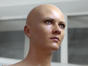 Woman head v3 3D 모델