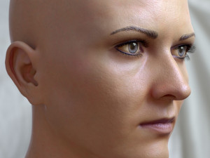 Woman head v3 3D 모델