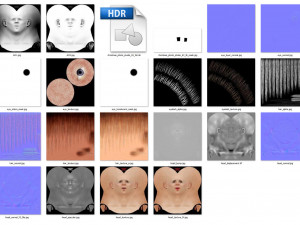Woman head v3 3D 모델