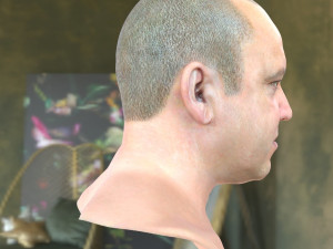 Human head v2a Modello 3D