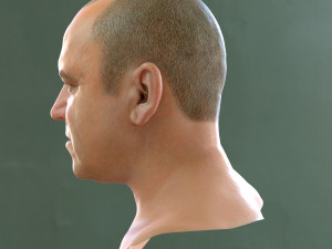 Human head v2a Modello 3D