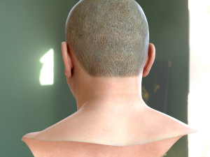 Human head v2a Modello 3D