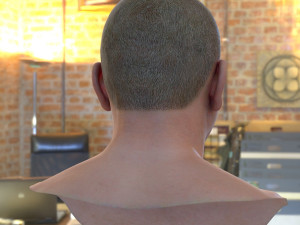 Human head v2a Modello 3D