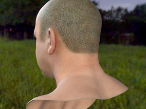 Human head v2a Modello 3D