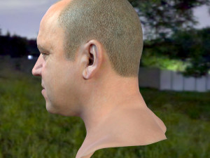 Human head v2a Modello 3D