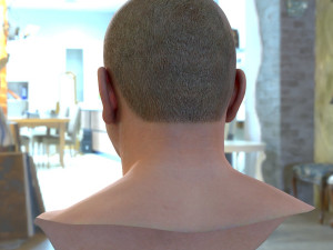 Human head v2a Modello 3D