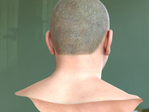 Human head v2a Modello 3D