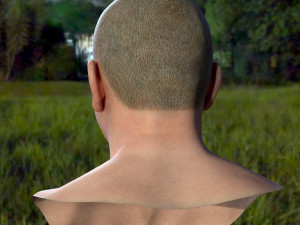 Human head v2a Modello 3D