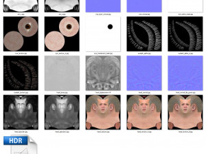 Human head v2a Modello 3D