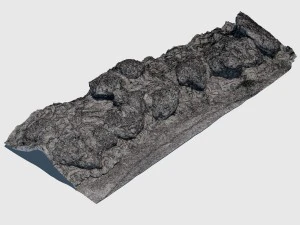 frank ocean rock 3D Model