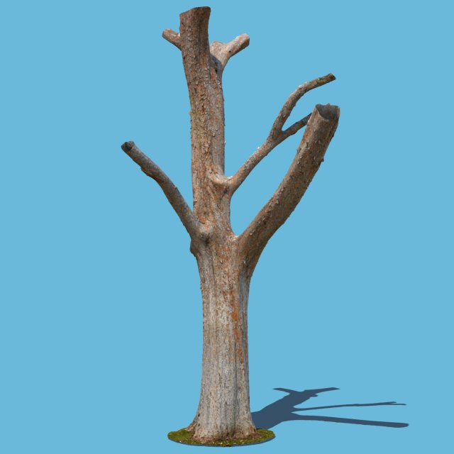 woody the woodpecker 3D Модель .c4d .max .obj .3ds .fbx .stl .blend 