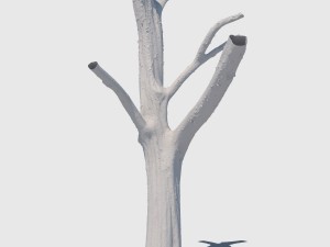 woody the woodpecker 3D Модель