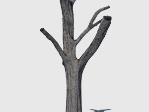 woody the woodpecker 3D Модель