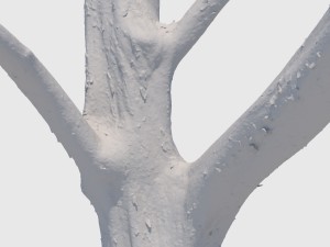 woody the woodpecker 3D Модель