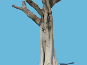 woody harrelson 3D Model