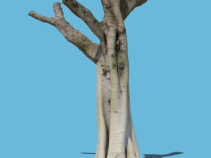 Woody Harrelson 3D Modell