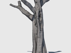 woody harrelson 3D Модель