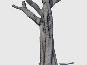 woody harrelson 3D Model