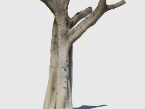 woody harrelson 3D Model