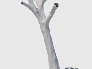 dion branch 3D Model