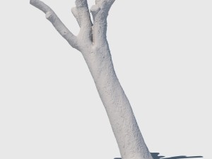 bob barker 3D Model
