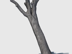 bob barker 3D Model