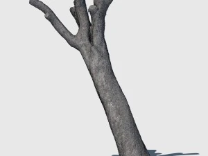 bob barker 3D Model