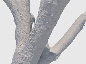 bob barker 3D Model