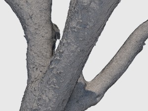 bob barker 3D Model