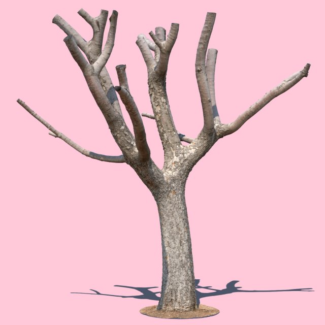 michelle branch Model 3D .c4d .max .obj .3ds .fbx .stl .blend 