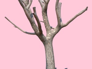 michelle branch 3D-Modell