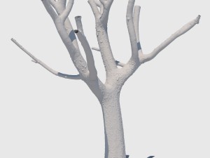 michelle branch Model 3D