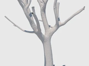 michelle branch 3D Model
