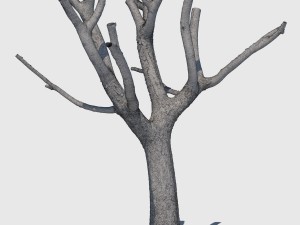 michelle branch Model 3D