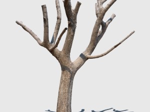michelle branch Model 3D