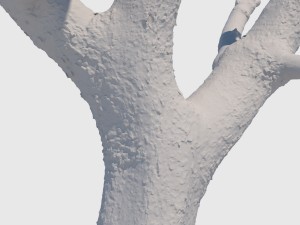 michelle branch Model 3D