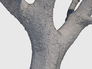 michelle branch Model 3D