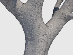 michelle branch 3D Model