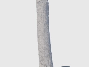 barky mcwood 3D Model