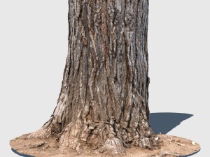 barky mcwood 3D Model