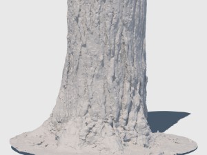 barky mcwood 3D Model
