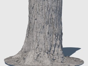 barky mcwood 3D Model