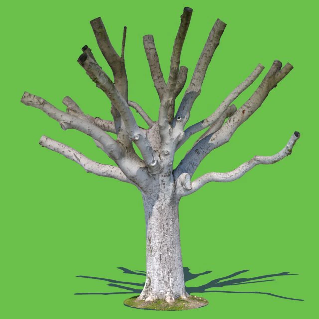 woody allen 3D Model .c4d .max .obj .3ds .fbx .stl .blend 
