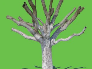 우디 앨런 3D 모델