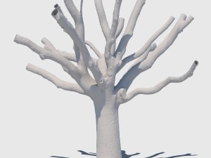 woody allen 3D 模型