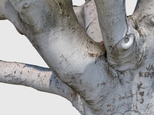 woody allen 3D 模型