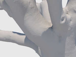 woody allen 3D 模型