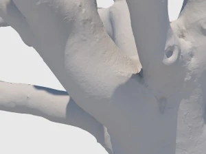 woody allen 3D Model
