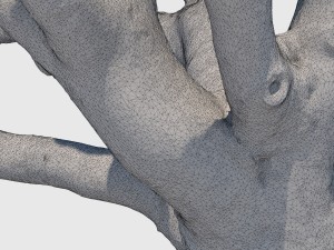 woody allen 3D 模型
